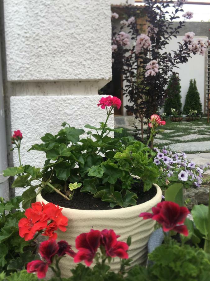 My Garden Hotel Tbilisi ภายนอก รูปภาพ