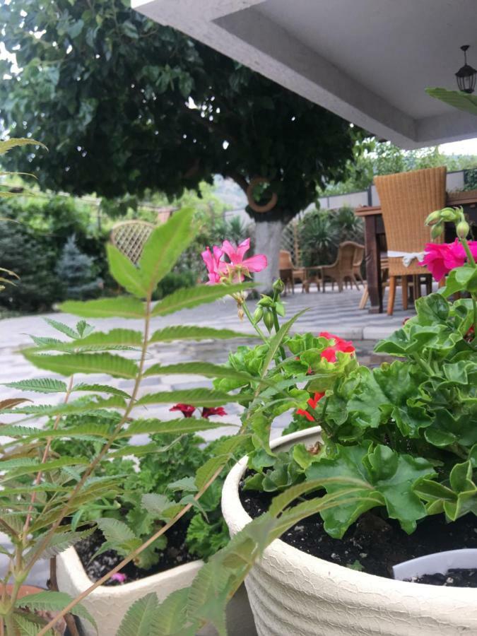My Garden Hotel Tbilisi ภายนอก รูปภาพ